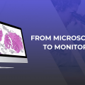 From Microscope to Monitor: Why Labs Are Switching to Digital Pathology